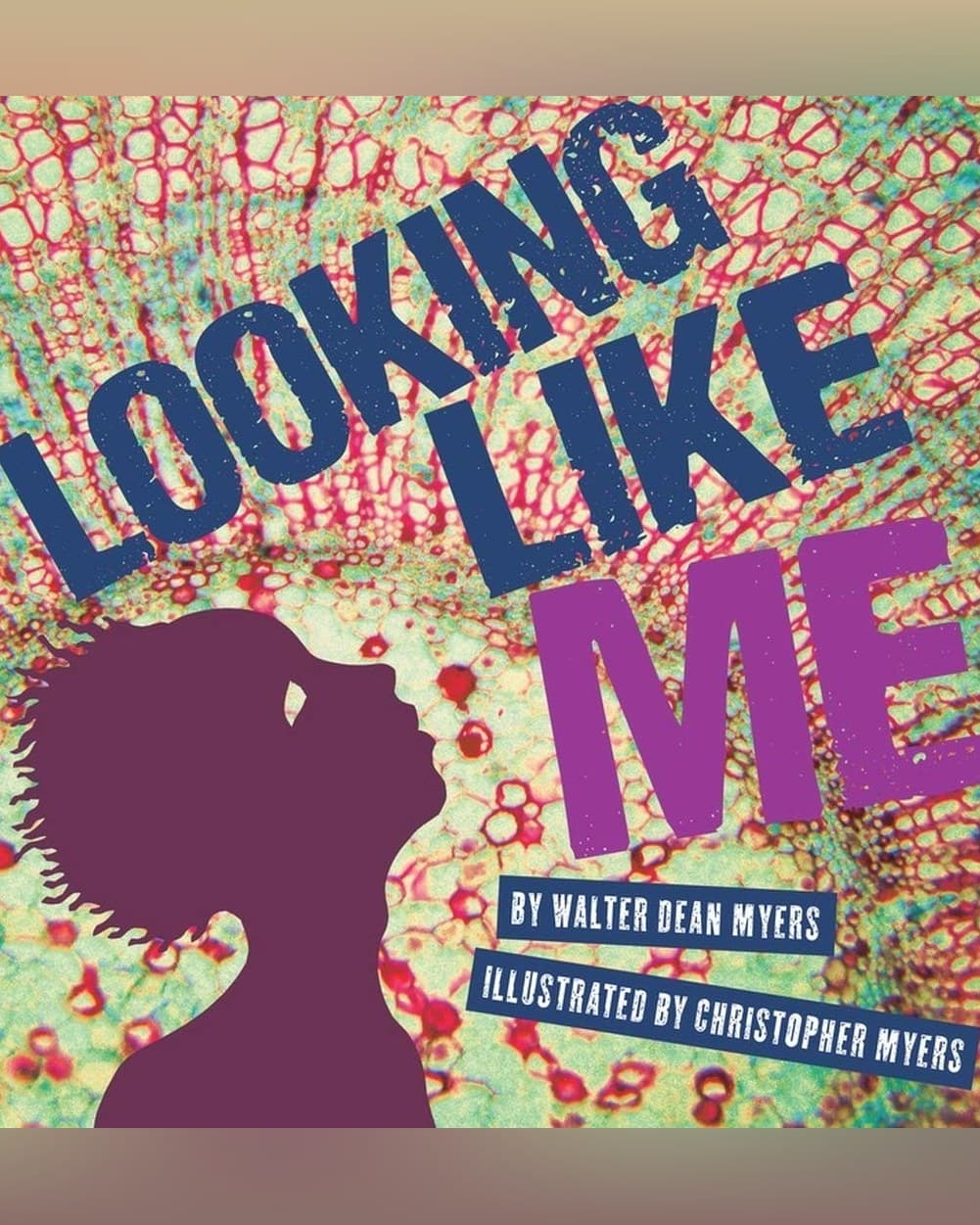 Cover of Looking Like Me by Walter Dean Myers